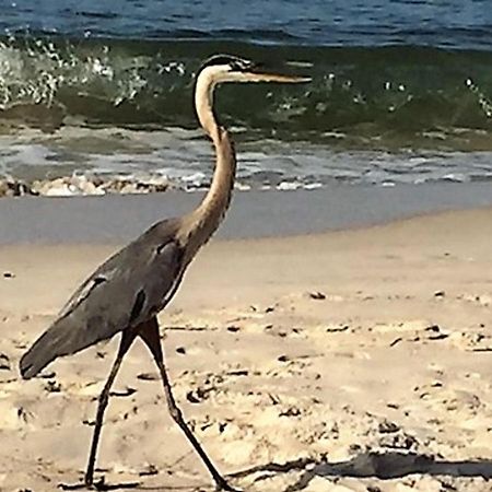 Phoenix Gulf Shores 1203 By Bender Vacation Rentals Екстер'єр фото